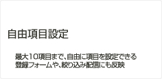 自由項目設定